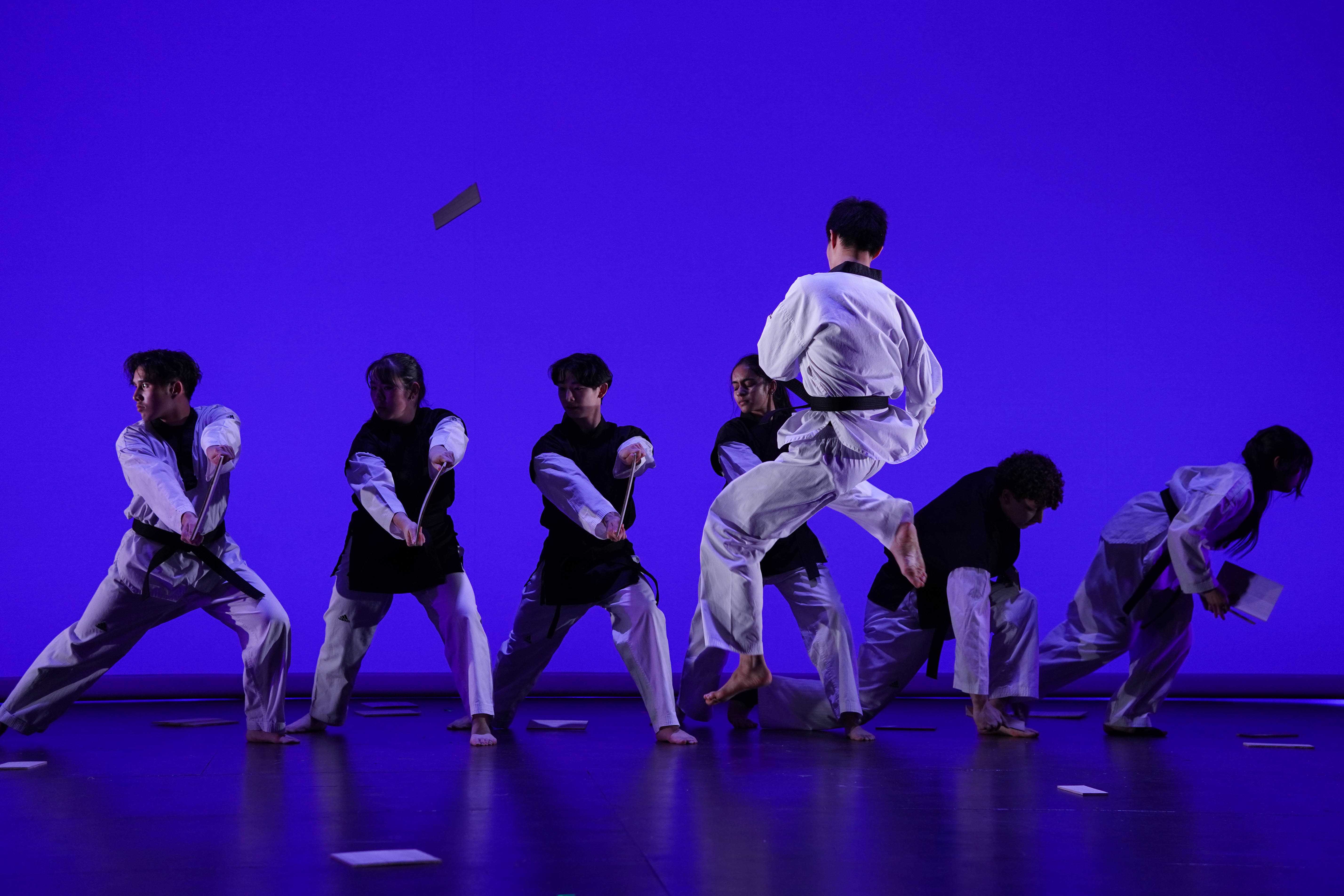 Taekwondo